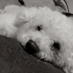 Casper - @casper_coleman09 - Instagram