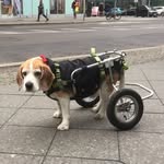 Casper The Basic Cook - @caspercooks - Instagram