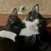 สองสาว ช่างเลือก - @cooper_.casper - TikTok