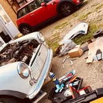 Casper The Classic Cooper - @caspertheclassiccooper - Instagram
