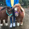 Cooper_casper - @cooper_casper - TikTok