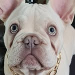 Casper Cunningham - @caspercunningham - Instagram