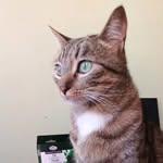 casper Diaz - @_casper.y.meliodas_ - Instagram