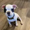 Casperdiaz - @caperdiaz - TikTok