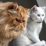 Casper & Duncan - @duncan_and_casper - Instagram