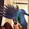 Casper Evans - @casper778876 - TikTok