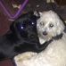 Casper Farmer - Facebook