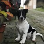 Casper Flores - @casper_flores_gavilanes - Instagram