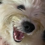 Casper Foster - Facebook