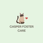 Casper Foster Care - Facebook
