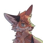Casper Fox - Facebook