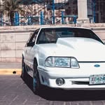 casperfox_5.0 - @casperfox_5.0 - Instagram