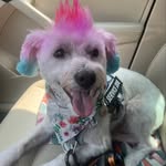 @casperfranklinstars - Instagram