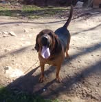 Casper Freeman - Facebook