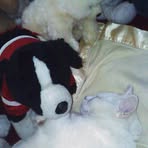 Casper Gardner - Facebook