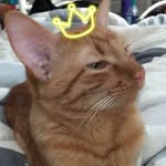 Casper George 👑 - @princecaspergeorge - Instagram