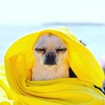 Casper - @casper___ghost - Instagram