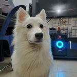 CASPER GHOST - @casper_d_eski - Instagram