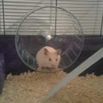 Casper grant - @casper15122 - Instagram