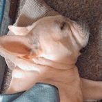 Casper Graves - Facebook