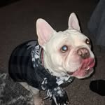 Casper Graves - @daniellerenee.2k24 - Instagram