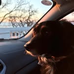 Casper Gutierrez - @casper.gutierrez3003 - Instagram