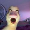 caspergutierrez29 - @caspergutierrez29 - TikTok