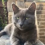Casper Hall - @captaincasperhall - Instagram