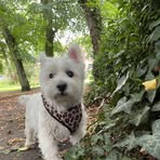 Casper Harper - Facebook