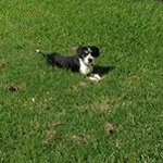Casper Henry - @casperhenry - Instagram