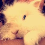 Casper Henry - @casperhenry12 - Instagram