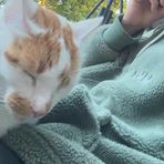 Casper Holmes - Facebook