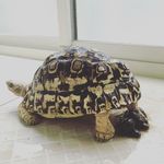 Casper Huang - @aho0302 - Instagram