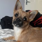 Casper James - @caspy_james - Instagram
