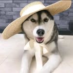 casperjames - @casperjames674 - Instagram