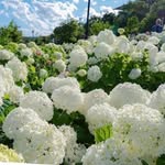 James Casper - @jamescasper416 - Instagram