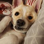 Casper Jones - @casper_jones_t - Instagram