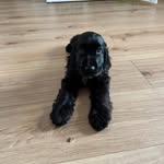 Casper Jones - @casperbcn - Instagram