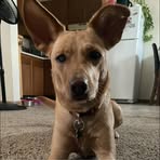 Casper Jones - Facebook