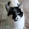 Jillian - @casper_katt - TikTok