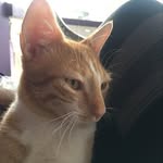 Casper Khan - @casper_khan2021 - Instagram