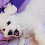 Casper Khan 🦴 - @caspithaghost - Instagram