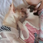 casper kim - @casper.kimmybear - Instagram