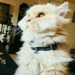 Casper-Kim - @casper___kim - Instagram