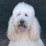 Casper Kim - @casper.doodle.kim - Instagram