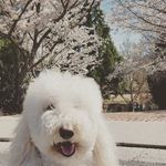 casper kim - @casperkim106 - Instagram
