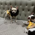 Casper Kim - @kimmybear.26 - Instagram