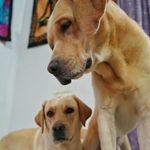 Kim and Casper - @kim_and_casper - Instagram