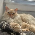 Casper Knight - @casper_caspuu - Instagram