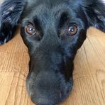 Caspar Cremer - Facebook